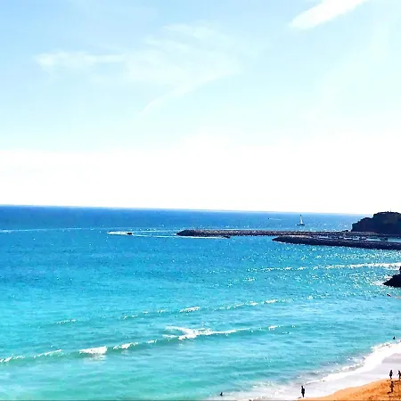 Appartement Camelia T2